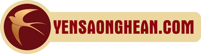 YẾN SÀO NGHỆ AN
